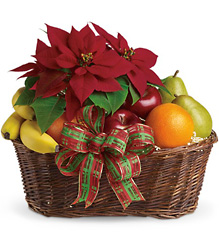 Fruit and Poinsettia Basket from Martinsville Florist, flower shop in Martinsville, NJ